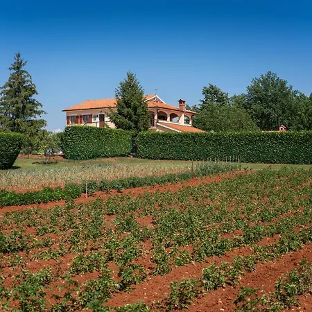 别墅 Villa Vranici